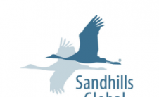 Sandhills市场报告跟踪中型建筑设备的变化趋势以及卡车和拖车价值的持续下降