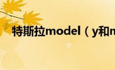 特斯拉model（y和modelx有什么区别）