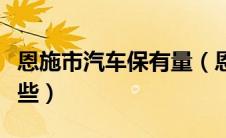 恩施市汽车保有量（恩施市汽车保险种类有哪些）