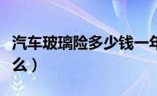 汽车玻璃险多少钱一年（汽车玻璃险指的是什么）