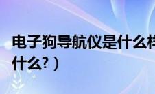 电子狗导航仪是什么样子的（电子狗导航仪是什么?）