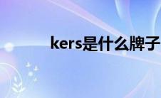 kers是什么牌子（kers是什么）