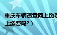 重庆车辆违章网上缴费（重庆交通违章罚款网上缴费吗?）