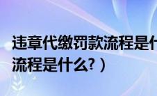 违章代缴罚款流程是什么意思（违章代缴罚款流程是什么?）