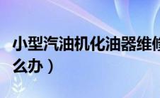 小型汽油机化油器维修（汽油机化油器漏油怎么办）