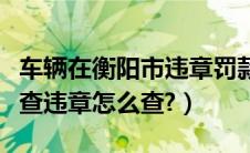 车辆在衡阳市违章罚款在哪里处理（衡阳车子查违章怎么查?）