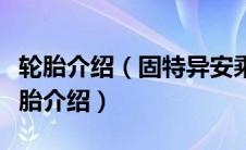 轮胎介绍（固特异安乘怎么样？固特异安乘轮胎介绍）