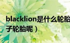 blacklion是什么轮胎（blackhawk是什么牌子轮胎呢）