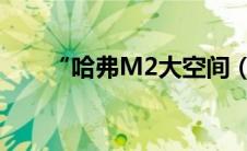 “哈弗M2大空间（秀您独特个性”）