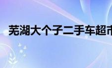 芜湖大个子二手车超市（大个子开什么车）