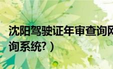 沈阳驾驶证年审查询网（查驾驶证年审怎么查询系统?）