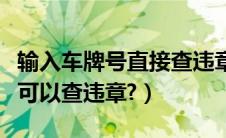 输入车牌号直接查违章（只需要输入车牌号就可以查违章?）