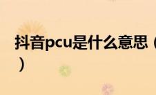 抖音pcu是什么意思（新能源pcu是什么意思）