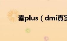 秦plus（dmi真实油耗是多少？）