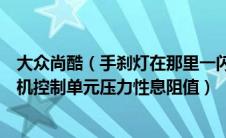 大众尚酷（手刹灯在那里一闪一闪的用电脑检测出就是发动机控制单元压力性息阻值）