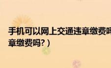 手机可以网上交通违章缴费吗怎么交（手机可以网上交通违章缴费吗?）