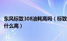 东风标致308油耗高吗（标致308油耗怎么样标致308油耗为什么高）