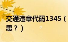 交通违章代码1345（违章代码1345是什么意思？）