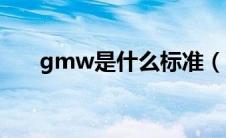 gmw是什么标准（gmw是什么车？）