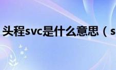 头程svc是什么意思（svc是什么意思车上的）