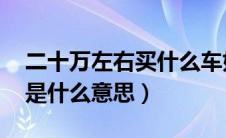 二十万左右买什么车好 排行榜（买车落地价是什么意思）