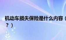 机动车损失保险是什么内容（机动车损失保险包括什么内容？）