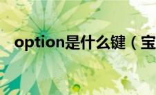 option是什么键（宝马option是什么键）