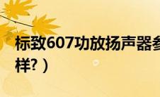 标致607功放扬声器参数（标致607音响怎么样?）