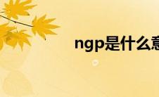 ngp是什么意思（小鹏）