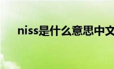 niss是什么意思中文（nissa是什么车）