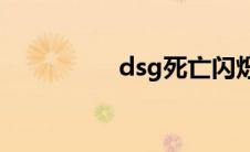 dsg死亡闪烁（是什么）