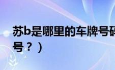 苏b是哪里的车牌号码区号（苏b是哪里车牌号？）