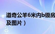 道奇公羊6米内b级房车（道奇公羊房车价格及图片）