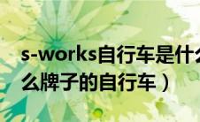 s-works自行车是什么品牌的（sworks是什么牌子的自行车）