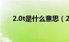 2.0t是什么意思（2.0t是什么意思？）