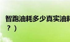 智跑油耗多少真实油耗（起亚智跑油耗是多少？）