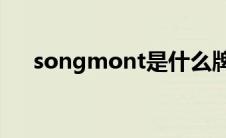 songmont是什么牌子（t是什么牌子）