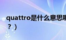 quattro是什么意思呢（quattro是什么意思？）