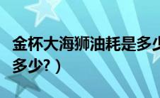 金杯大海狮油耗是多少升（金杯大海狮油耗是多少?）