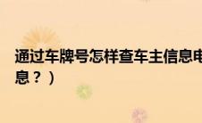 通过车牌号怎样查车主信息电话（通过车牌号怎样查车主信息？）