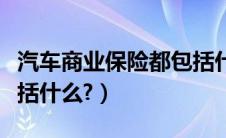 汽车商业保险都包括什么（汽车商业保险都包括什么?）