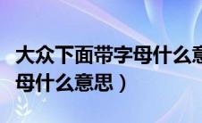 大众下面带字母什么意思图片（大众下面带字母什么意思）