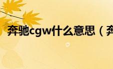 奔驰cgw什么意思（奔驰cg1是什么意思?）