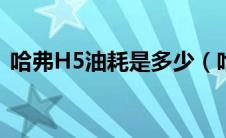 哈弗H5油耗是多少（哈弗h5油耗是多少？）