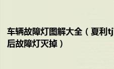 车辆故障灯图解大全（夏利tj7101au汽车故障灯亮加满油以后故障灯灭掉）