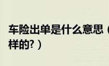 车险出单是什么意思（车险出单操作流程是怎样的?）