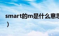 smart的m是什么意思（smart的油耗是多少）