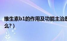 维生素b1的作用及功能主治是什么（汽油清净剂的作用是什么?）