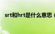 srt和hrt是什么意思（SRT是什么意思？）