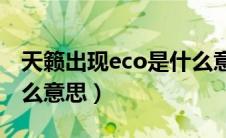 天籁出现eco是什么意思（天籁汽车eoo是什么意思）